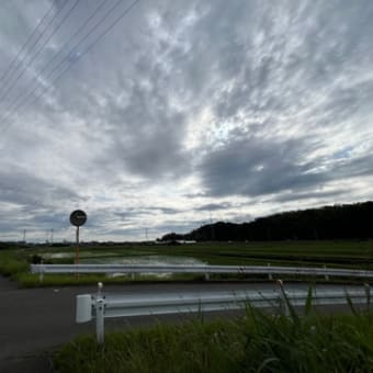 日差しが刺さる