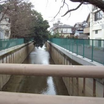 石神井川探検（上流編）　その３