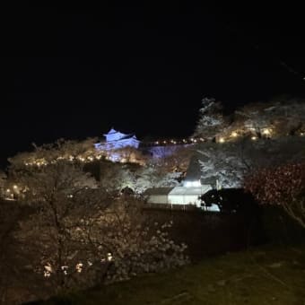 鶴山公園と醍醐桜