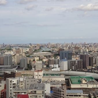 世紀少年 08 かこぶろ 世紀少年 08 かこぶろ