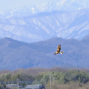 雪山バックに