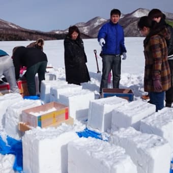 1/31,2/1雪像ブロック製作！(3)