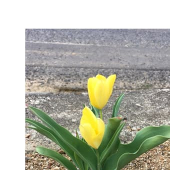 今日いち-2025年4月5日
