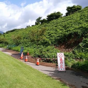 現場部隊業務報告（６～８月）