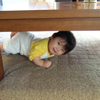 机の下大好き