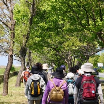 「春の輝き　ぐるっと琵琶湖一周ウオーク②」　2010年4月28日(水)　晴