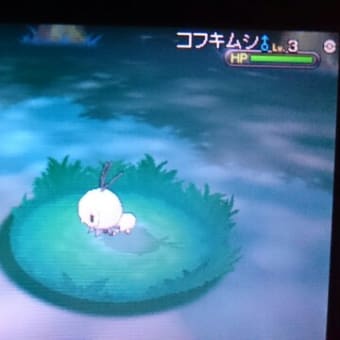 画像一覧 なおと色違いのポケモン 画像一覧 なおと色違いのポケモン