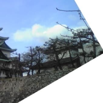 名古屋では「矢場とん」だがね。