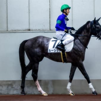 ルーシッド　術後は馬房内休養❗️