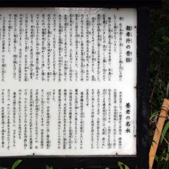 養老の滝