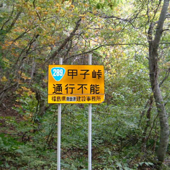 行ってきました。
