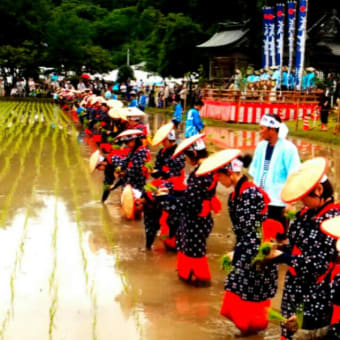御田祭 宮崎県美郷町