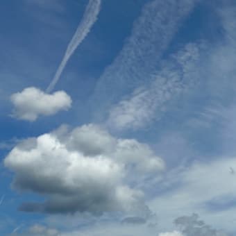青空おひさしぶり