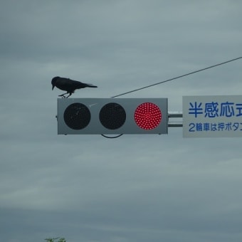 恒例の取り立て屋の、タッ君が来たっ！（汗）