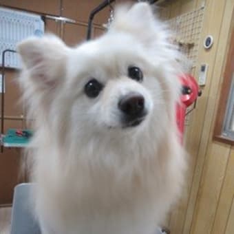 今日も暑いけど頑張ろう～！！