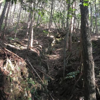 和気地区　銅鉱山　