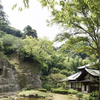 真夏の瑞泉寺には・・・