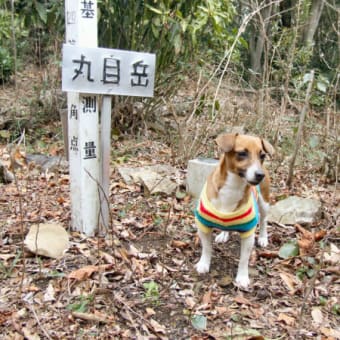 丸目岳・荒平森林公園（荒平山）を歩く。
