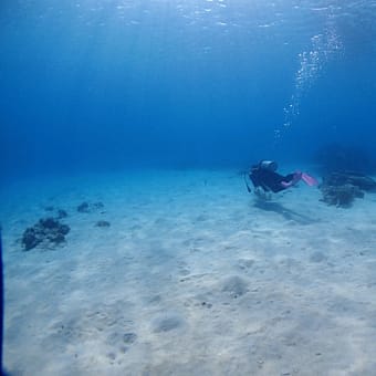 本気で遊ぶ体験ダイビング