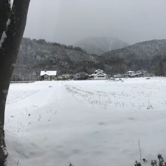 外は雪。