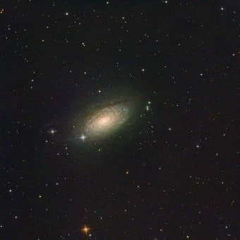 春の銀河（その２）M63
