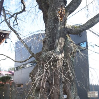 厳冬の軽井沢：水車の道と軽井沢宿神宮寺