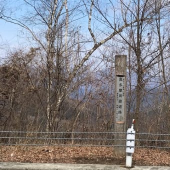 都民の森(22回目)～鶴峠～甲武トンネル