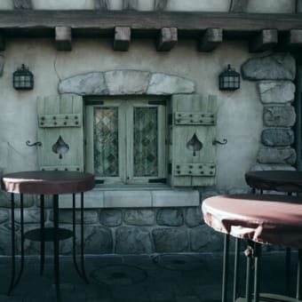 東京ディズニーランドでスナップ