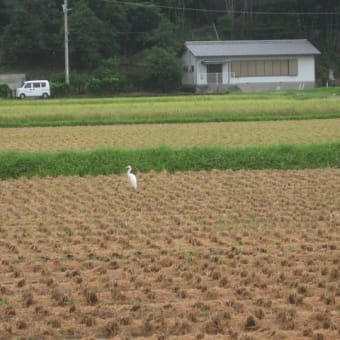 「秋は物憂い」