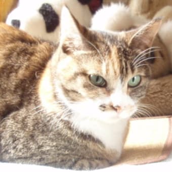 穏やかな一日