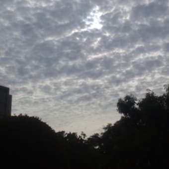 ＳＵＮＮＹ ＤＡＹ