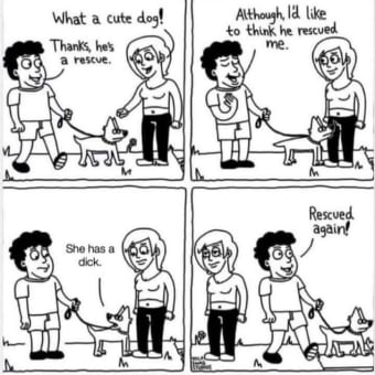 This Rescue Dog Would Seem Like A Good Idea. ๐๐๐๐๐๐
๐๐คฃ๐๐๐คด๐ธ๐๐ฑ๐๐๐ถ