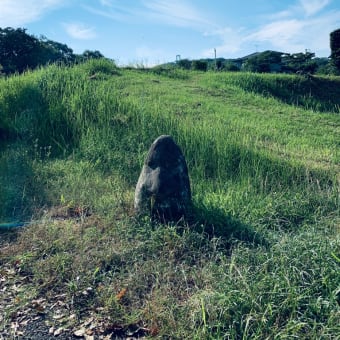 草原