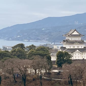 箱根神社・小田原