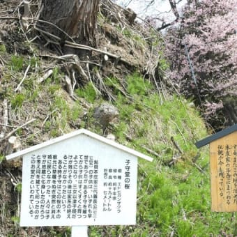 隼一家（１）