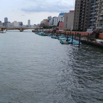 お薦め散歩：隅田川