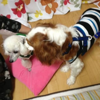 お？　ｗ（￣△￣；）ｗおおっ！