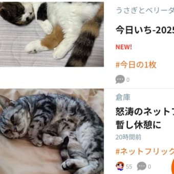 仲直りしました。