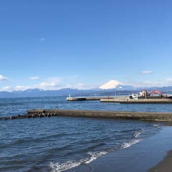 寒く乾燥した晴天の午前中は秀麗な富士山に出会えます