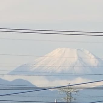 山羊さんと一歩一歩