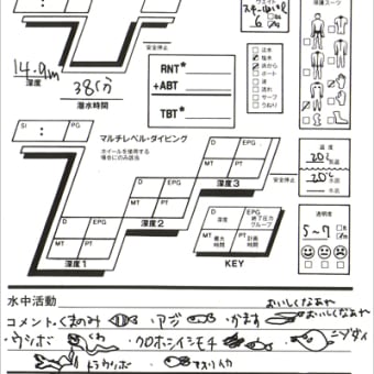 伊豆スッピンワカメダイビング   ２