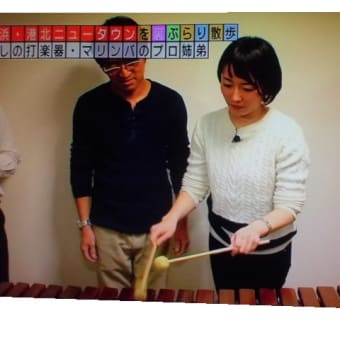 マリンバーでちょっとした疑惑が…