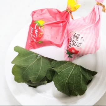 いちごパフェとかき氷　グリーンケトル　堺市　GWに食べた物いろいろ