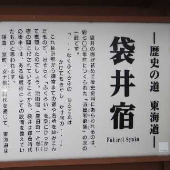 東海道五十三次どまん中茶屋・袋井宿（その一）