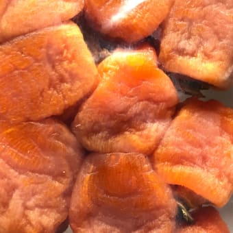 【イベント開催報告】富山干柿の美味しい謎を解きに行こう！