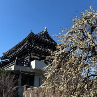 やりたいことを模索中