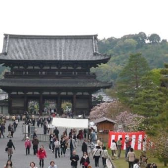 2011年4月24日(日)　仁和寺