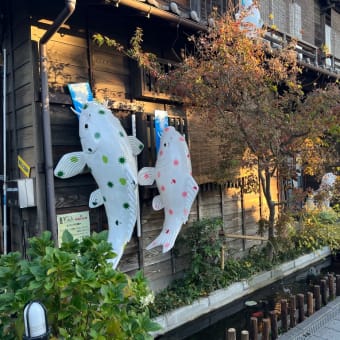 3年ぶりの旅行は川越
