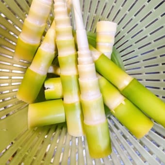 ギュギュッとな休日☆