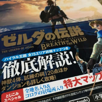 ゼルダの伝説ブレスオブワイルド再開